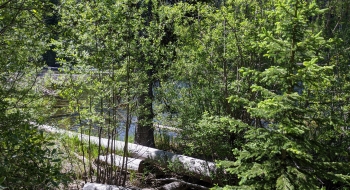 The lake comes into view where the trail levels out