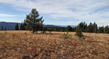 Near the start of the north end of the trail. 