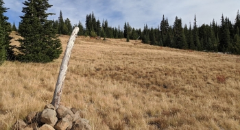 Cairns to mark the way in the grass.