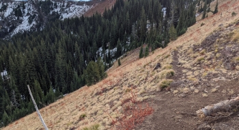 Nearing Miners Basin Trail. 