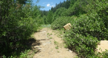 Here is the worthless road to the official trailhead at the bottom.