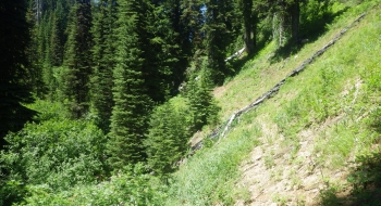 The old beginning of the Trail Creek Trail. 