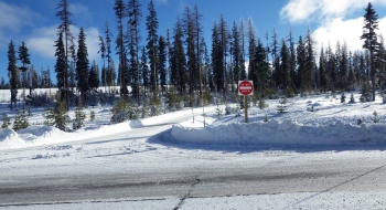 The snopark exit, where you cross the road to the nordic area. 