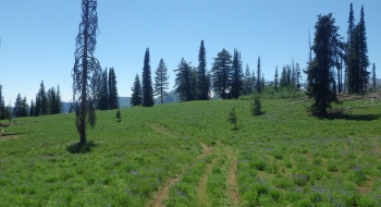 A beautiful road. 