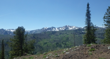 Looking toward Red Mountain from the trail. 