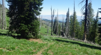Looking down toward Pine Valley to the south. 