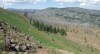 View toward Clear Creek from the saddle.