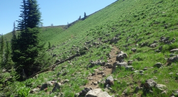 The trail coming down the east side of the ridge