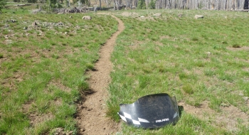 Some snowmobile debris shows the evidence of the winter popularity of this area.