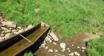 Look for this water trough as a reference point because the trail goes right by it. 