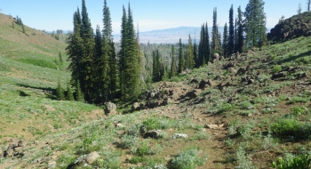 If you take the trail as a downhill, this is what you see.