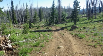 The 4x4 road is fun.