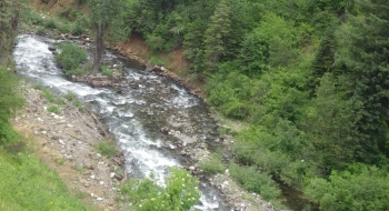 Pine Creek beside the road.