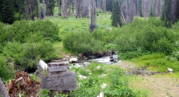 At the bottom end, the trail starts right after crossing the East Fork here.