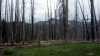 The winter ski yurt is visible in the trees to the west at the start of the trail. 