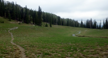 Beautiful meadow on Blue Creek Saddle. 