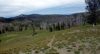 Looking east from near Blue Creek Saddle, where the trail comes up from the East Fork. Down in the trees is where the trail is difficult to follow for a while. 