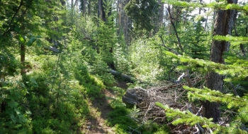 The motorcycle trail is rather primitive and rough at first.