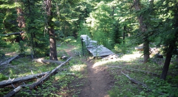 Trail sight