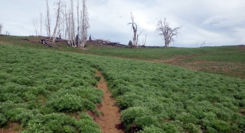 The trail is mostly good and visible a lot of the time and the will periodically have a mind of its own. 