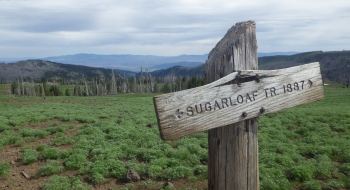 There are a few trail signs out there. 