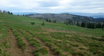 A few trail options on the flank of Sugarloaf Mountain.