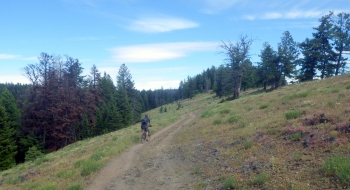 Some off-camber action.