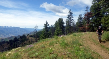 The trail with wildflowers and the Seven Devils in Idaho to the left.