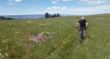 The native grass is thick at Lord Flat.