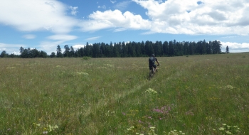 Heading back! There are several camping spots in the trees seen in the distance. 
