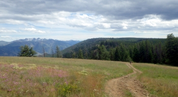 Shot from Grassy Knoll looking south.