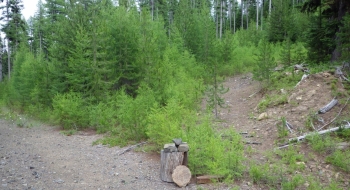 Some markings where the trail (pictured right) comes down to the road for the return back. 