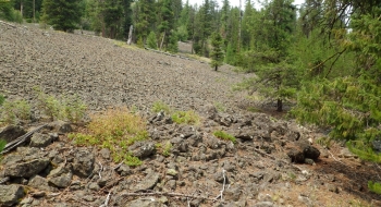 Lava field