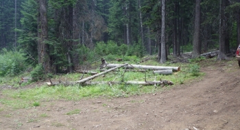 After crossing the creek on the road, the singletrack begins up the mountain (just by the cut log on the right side of the picture).