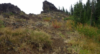Gnarliness on the ridge