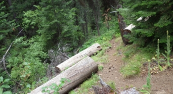 The trail has gotten some attention down lower.