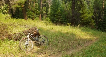 This is where the Baker Trail (left?) meets the Bear Creek Trail (right).