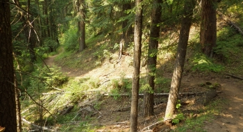 The awesome flow of the Bear Creek Trail back to Boundary Campground.