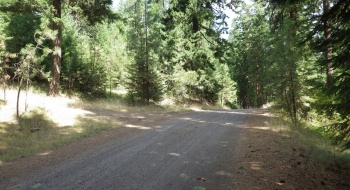 The road that starts the trail is seen left here, taking off of the main Bear Creek Rd. 