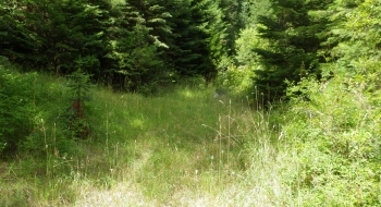 The trail pops out (from the left of the picture) onto the end of this road. 