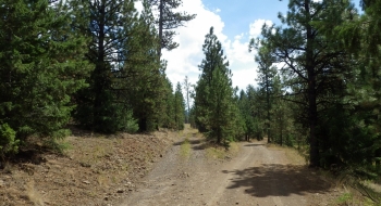 Continuing on the road toward Bear Wallow, you come to this split in the road. The route shown here starts at the split by going left. Right takes you to the Bear Wallow Trailhead