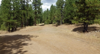Looking back at the 125 road with the main road coming up from the left. 
