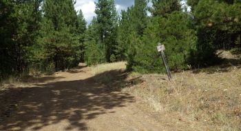 This bullet riddled 125 road sign is a left hand turn off of the main road to Bear Wallow. It provides an alternate way to get right above the real trail.