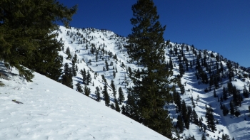 View of the ridge to the east, while climbing.