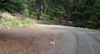 The left-hand switchback in the road where the trail starts. 