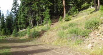 Trail starting up the hill to the right. 