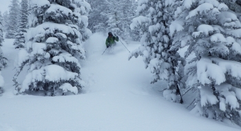 Skiing the trees on the west aspect.