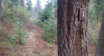 There are mile markers on the trail. 