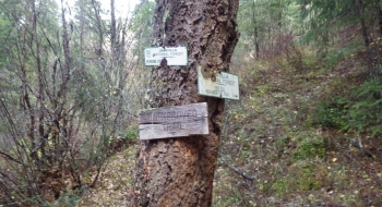 The end of the trail where it comes into Bear Creek Trail. The end of the trail where it comes into Bear Creek Trail.