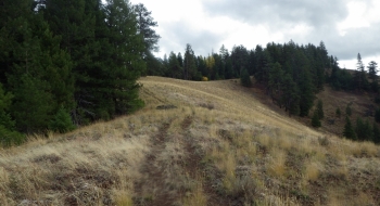 This is about where the double track ATV trail peters out and you follow the ridge the rest of the way down. This is about where the double track ATV trail peters out and you follow the ridge the rest of the way down.
